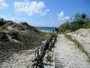 Familienfreundlich: Palanga, Palanga, Ostseekste